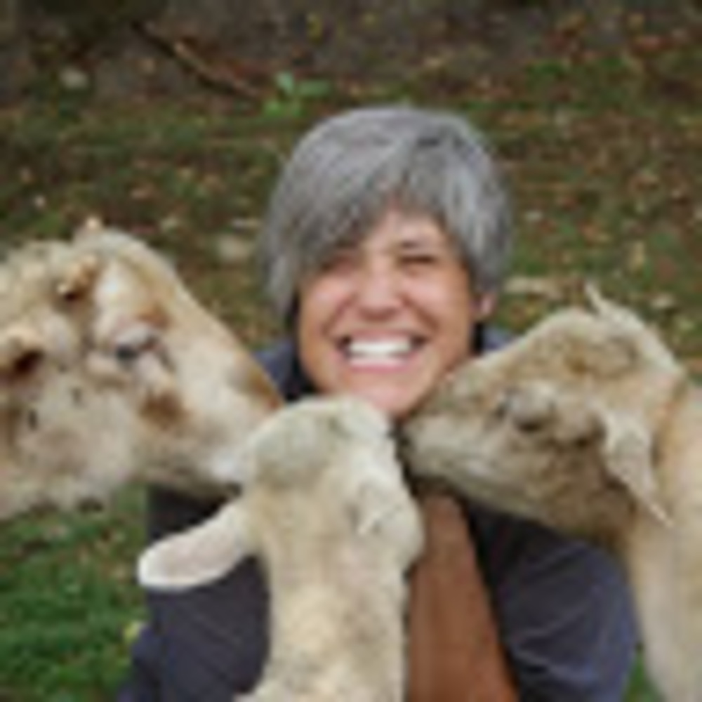 Meet your Posher, Dorothy